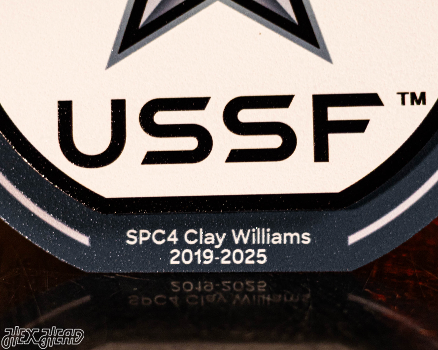 United States Space Force "Double Play" On the Shelf or on the Wall Art