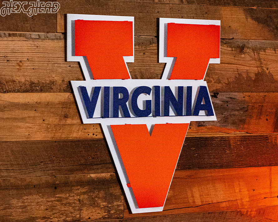 Virginia "V" 3D Vintage Metal Artwork