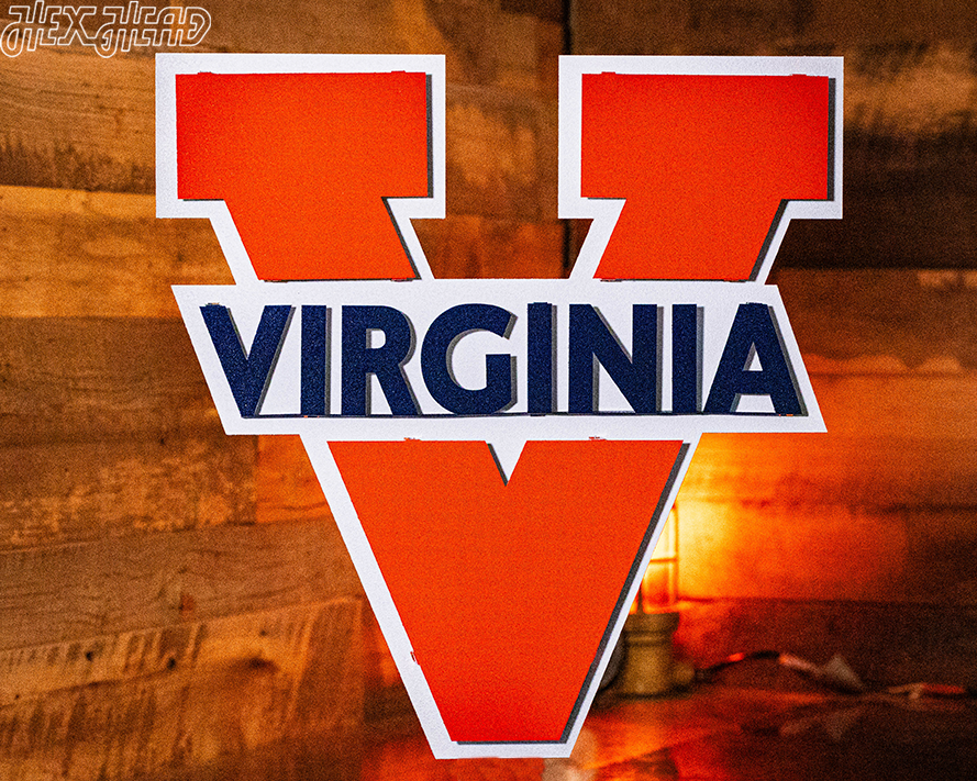 Virginia "V" 3D Vintage Metal Artwork