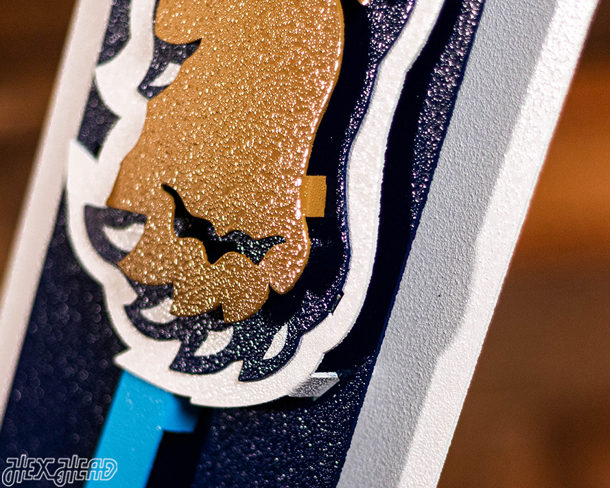 Villanova "Wildcat over the V" 3D Metal Artwork