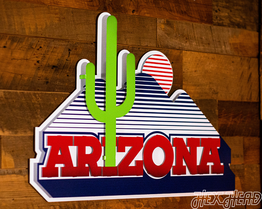 Arizona Wildcats VAULT "CACTUS" 3D Metal Wall Art