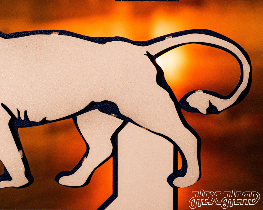 Penn State Nittany Lions VAULT "1950 S" 3D Vintage Metal Wall Art