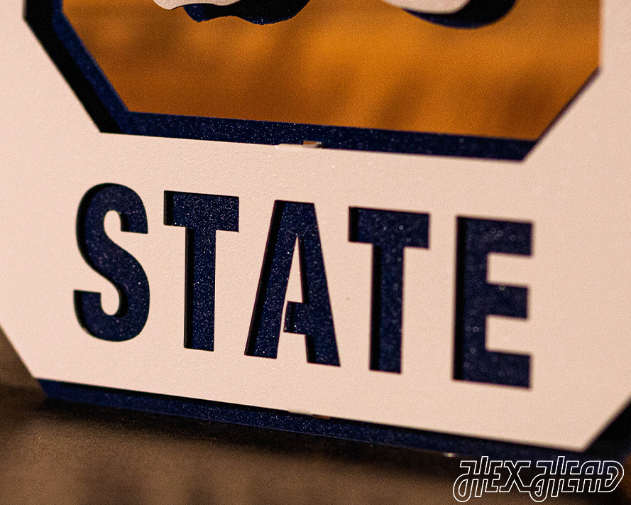 Penn State Nittany Lions VAULT "1950 S" 3D Vintage Metal Wall Art
