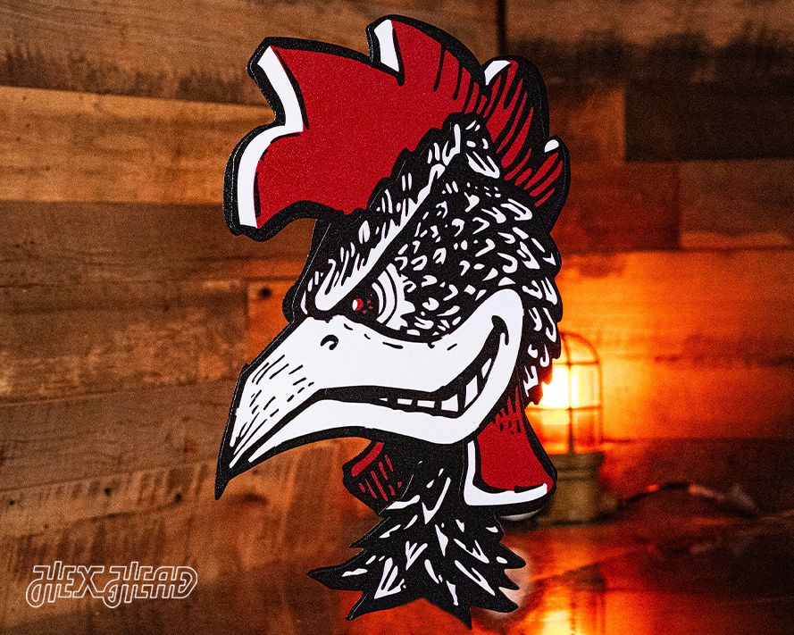 South Carolina Gamecocks