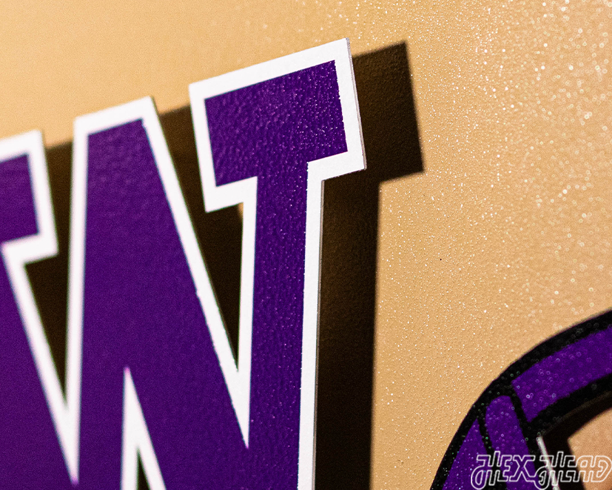 BLITZ COLLECTION - 8 LAYER Washington Huskies 3D Metal Wall Art