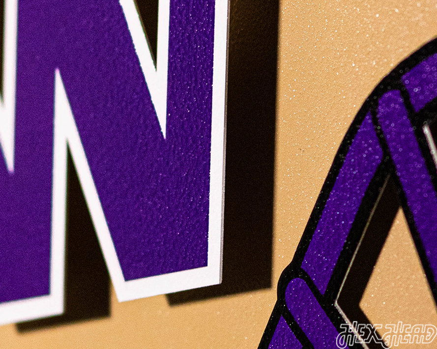 BLITZ COLLECTION - 8 LAYER Washington Huskies 3D Metal Wall Art