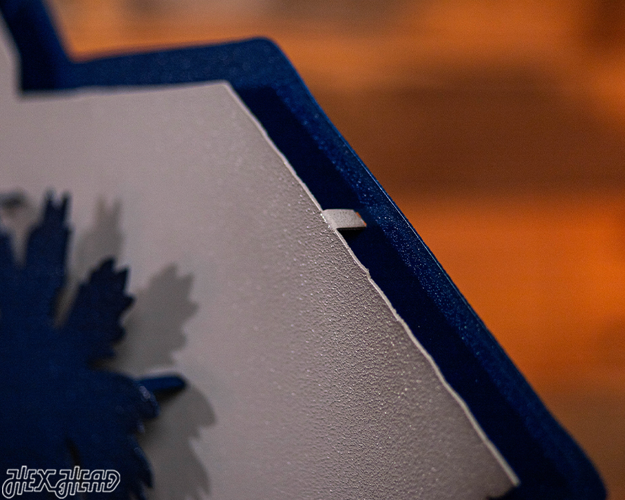 South Carolina State Emblem 3D Vintage Metal Wall Art