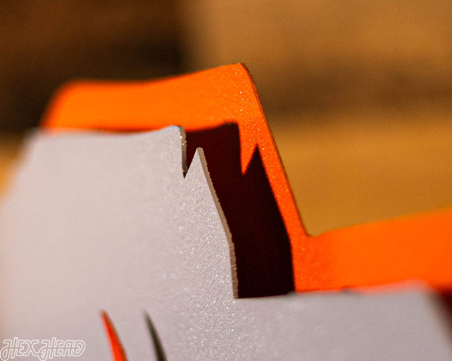 South Carolina State Emblem 3D Vintage Metal Wall Art