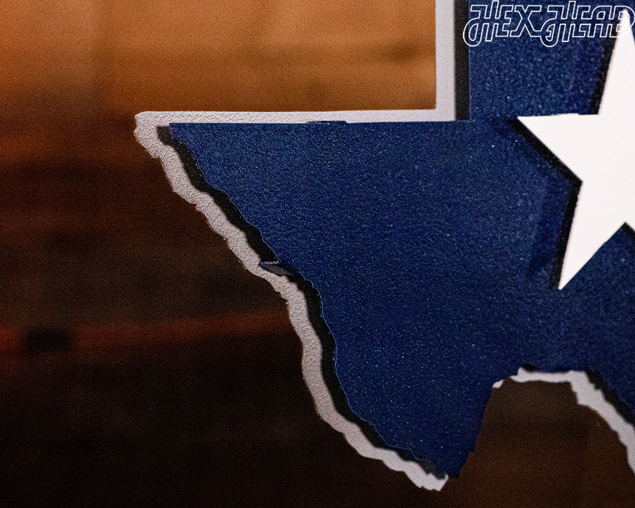 Lone Star State of Texas Flag 3D Vintage Metal Wall Art