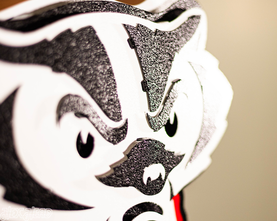 Wisconsin "BADGER" 3D Vintage Metal Wall Art