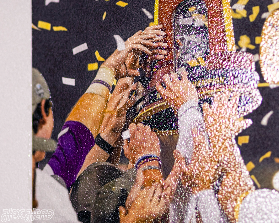 Daily Advertiser LSU Tigers 2023 NATIONAL CHAMPIONS Front Page - June 28, 2023