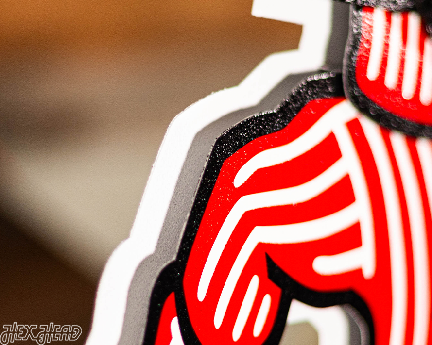 Wisconsin "BADGER" 3D Vintage Metal Wall Art