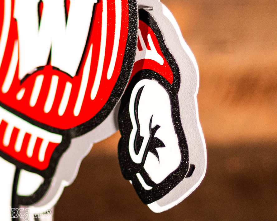 Wisconsin "BADGER" 3D Vintage Metal Wall Art