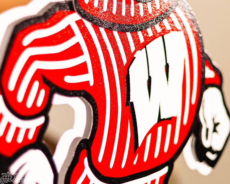 Wisconsin "BADGER" 3D Vintage Metal Wall Art