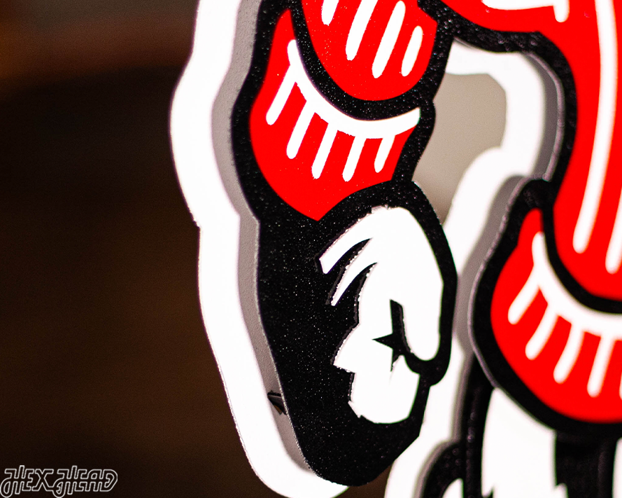 Wisconsin "BADGER" 3D Vintage Metal Wall Art