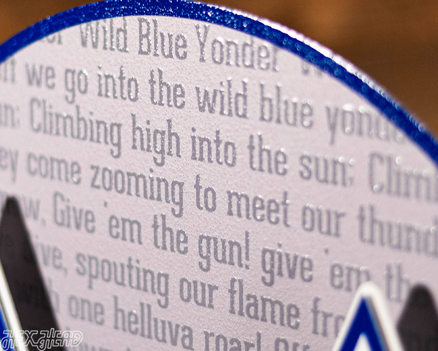 United States Air Force CRAFT SERIES 3D Embossed Metal Wall Art