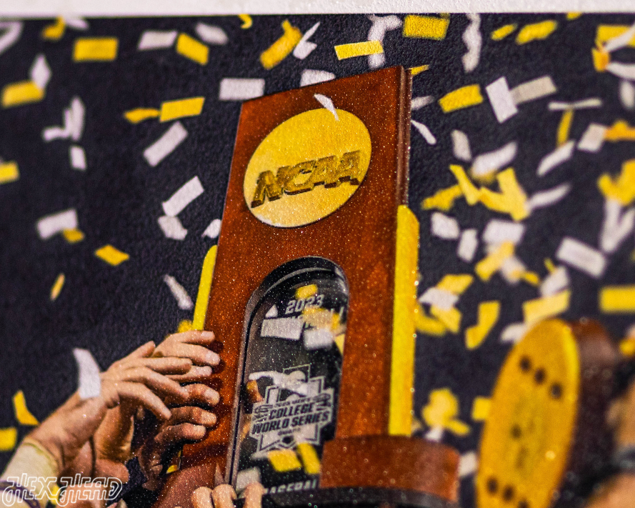 Daily Advertiser LSU Tigers 2023 NATIONAL CHAMPIONS Front Page - June 28, 2023