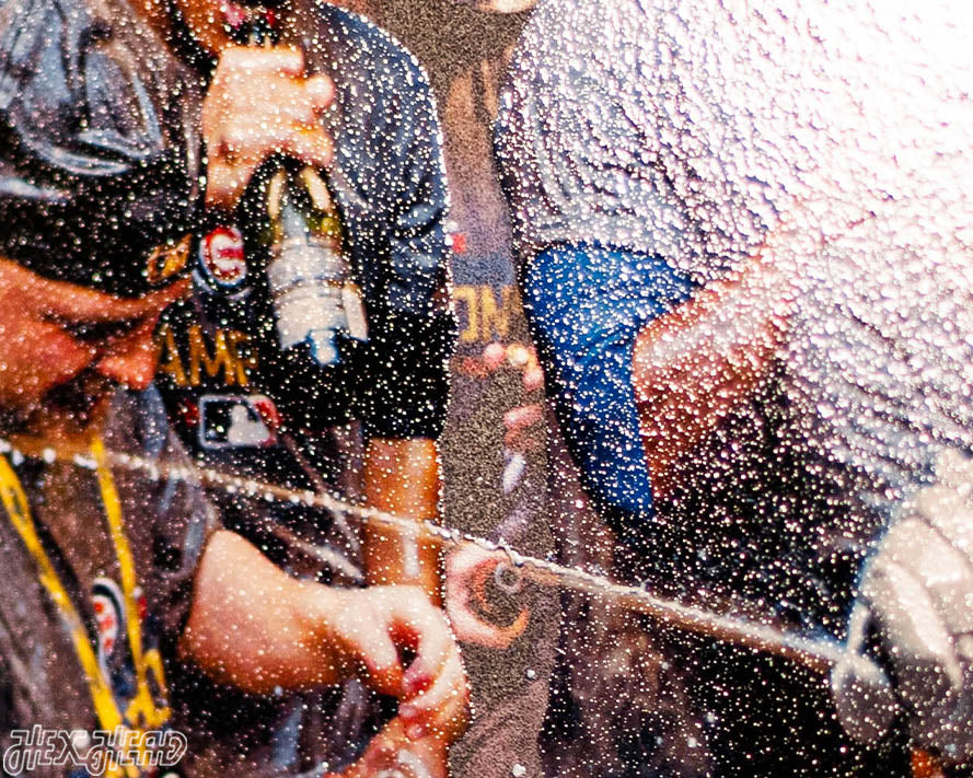 The Chicago Tribune Chicago Cubs 2016 WORLD SERIES Front Page - NOV 4, 2016