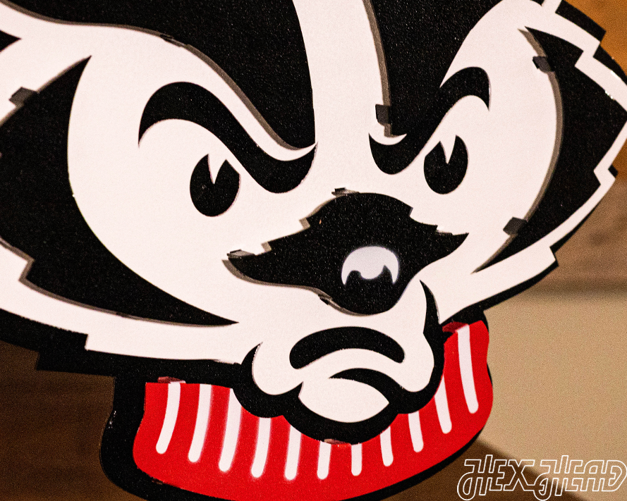 Wisconsin Badgers Mascot Head 3D Vintage Metal Wall Art