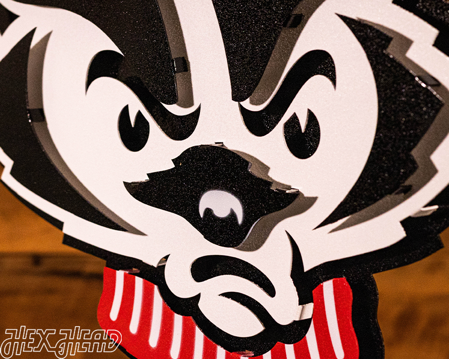 Wisconsin Badgers Mascot Head 3D Vintage Metal Wall Art