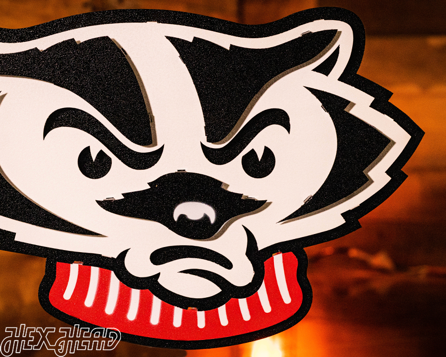 Wisconsin Badgers Mascot Head 3D Vintage Metal Wall Art