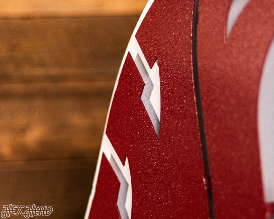 Washington State Cougars 3D Vintage Metal Wall Art