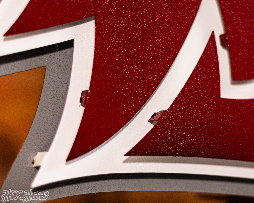 Washington State Cougars 3D Vintage Metal Wall Art