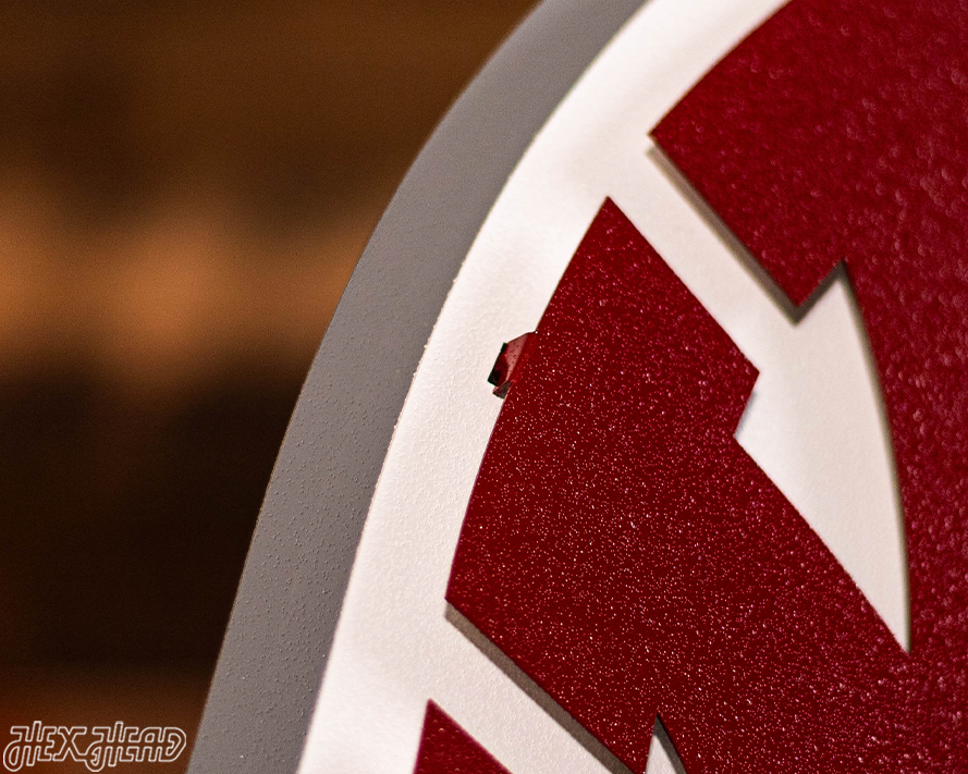 Washington State Cougars 3D Vintage Metal Wall Art