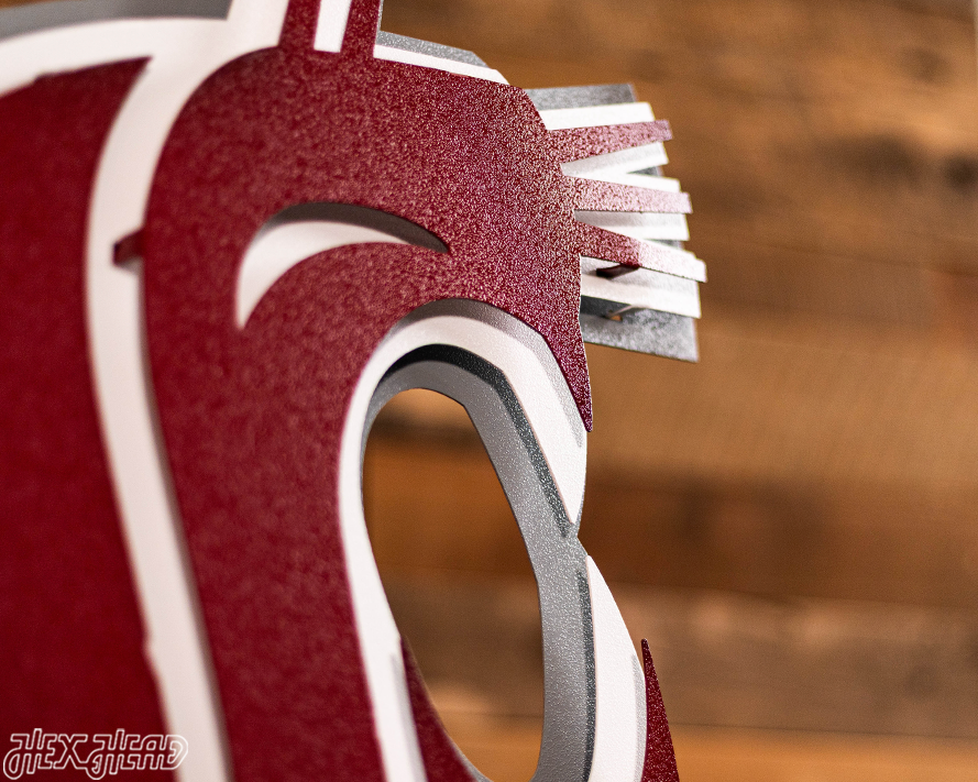 Washington State Cougars 3D Vintage Metal Wall Art