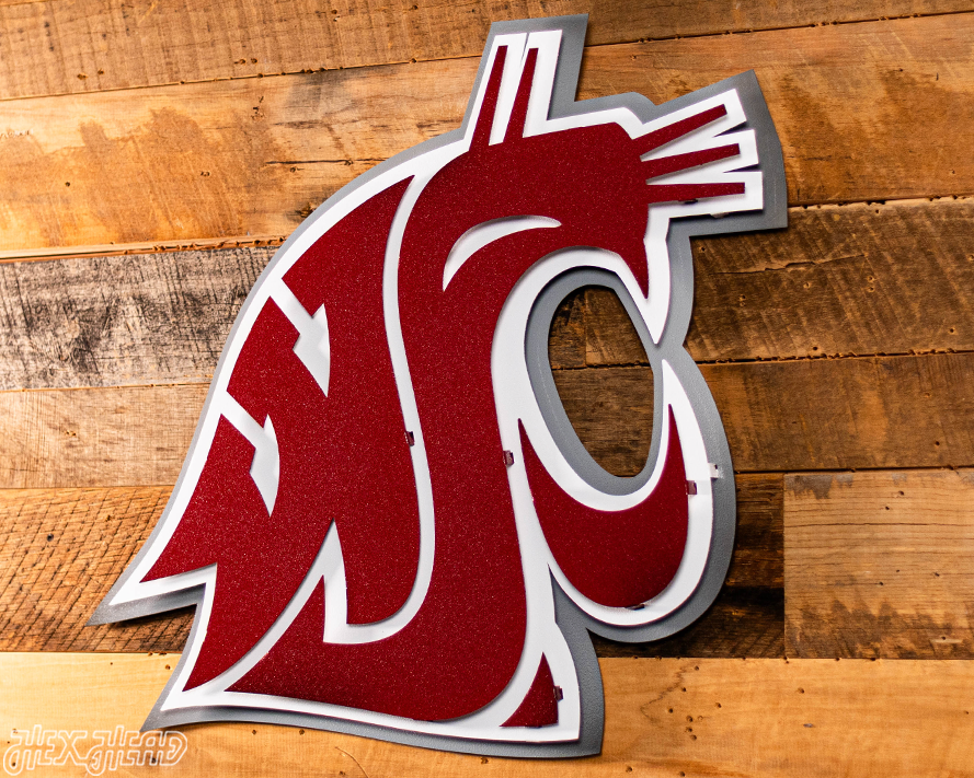 Washington State Cougars 3D Vintage Metal Wall Art