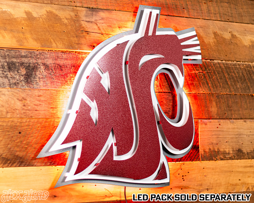 Washington State Cougars 3D Vintage Metal Wall Art