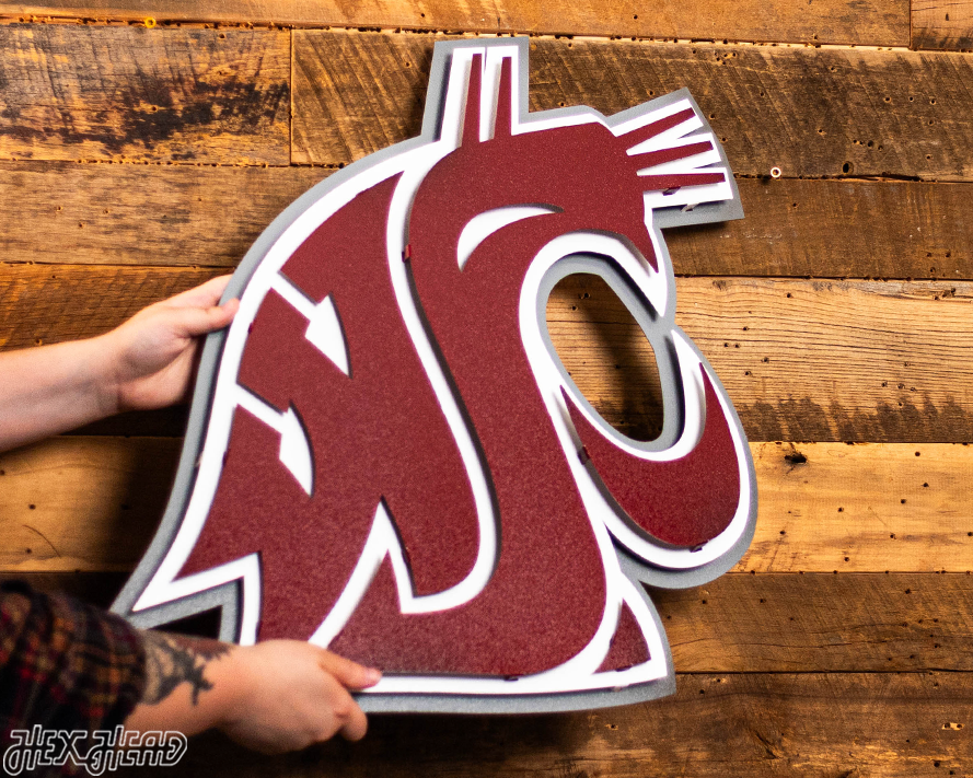 Washington State Cougars 3D Vintage Metal Wall Art