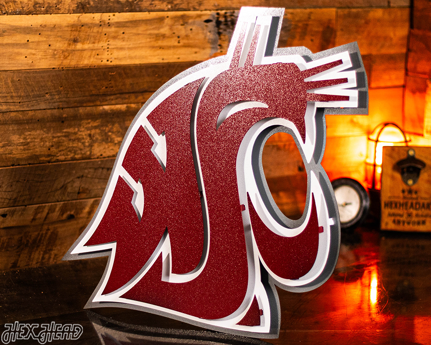 Washington State Cougars 3D Vintage Metal Wall Art