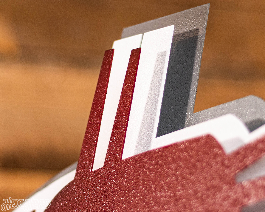 Washington State Cougars 3D Vintage Metal Wall Art