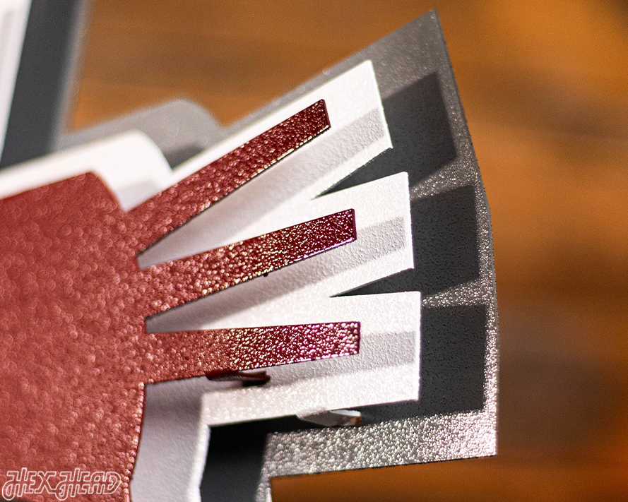 Washington State Cougars 3D Vintage Metal Wall Art