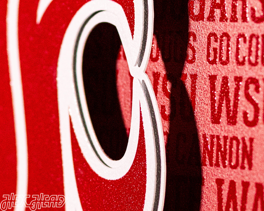 Washington State Cougars CRAFT SERIES 3D Embossed Metal Wall Art