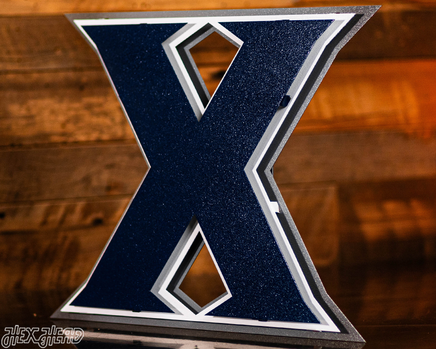 Xavier "X" 3D Vintage Metal Artwork