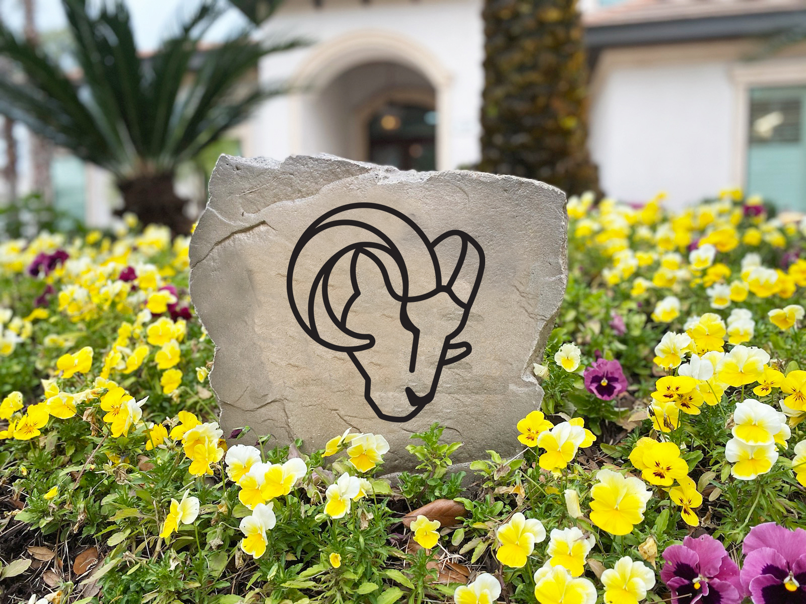 Los Angeles Rams Design-A-Stone Landscape Art