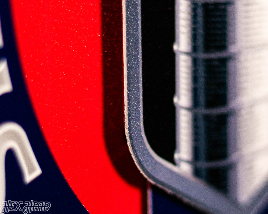 12" Florida Panthers HEX HEAD EXCLUSIVE Design 2024 Champions 3D Metal Wall Art