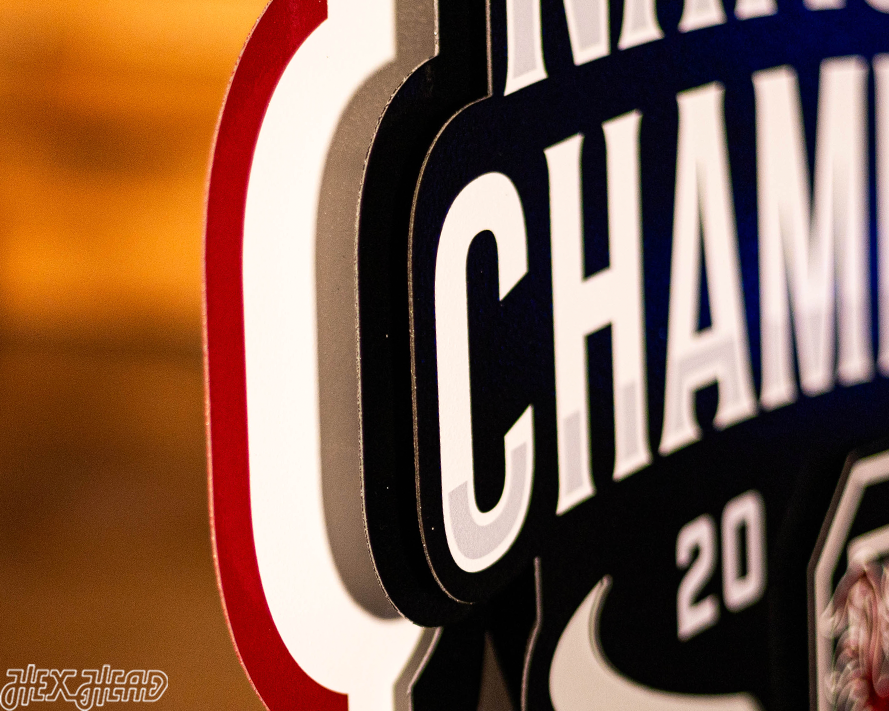 South Carolina Gamecocks 2024 National Champions 3D Metal Wall Art