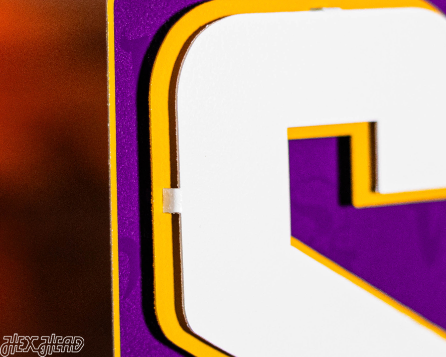 Minnesota Vikings "SKOL" Hex Head Exclusive 3D Vintage Metal Wall Art