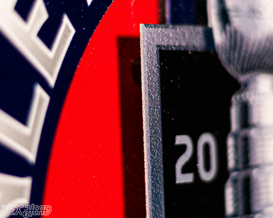 12" Florida Panthers HEX HEAD EXCLUSIVE Design 2024 Champions 3D Metal Wall Art