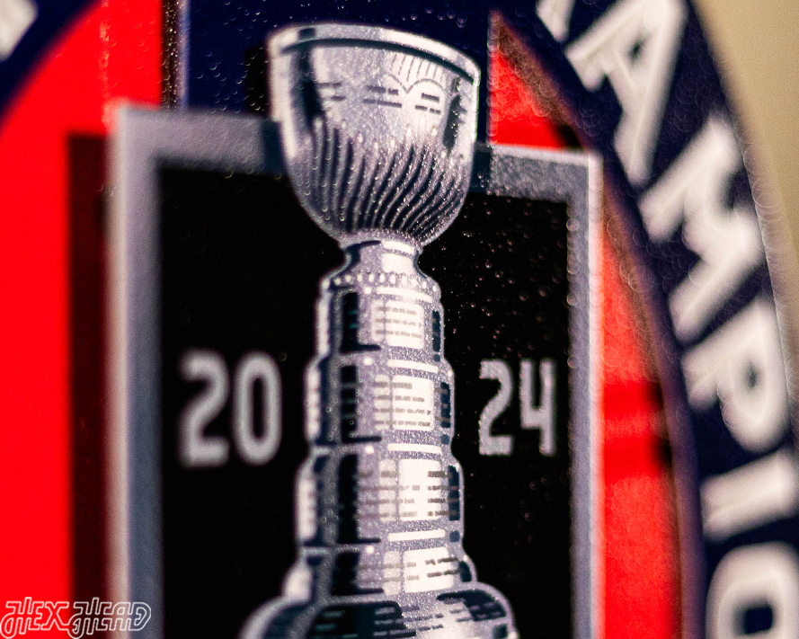 12" Florida Panthers HEX HEAD EXCLUSIVE Design 2024 Champions 3D Metal Wall Art