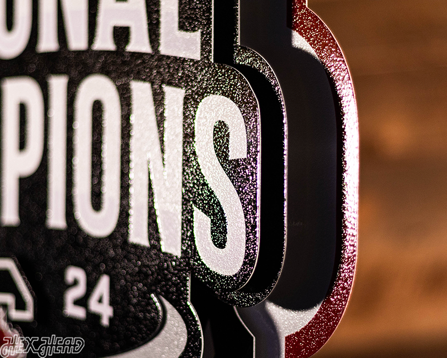 South Carolina Gamecocks 2024 National Champions 3D Metal Wall Art