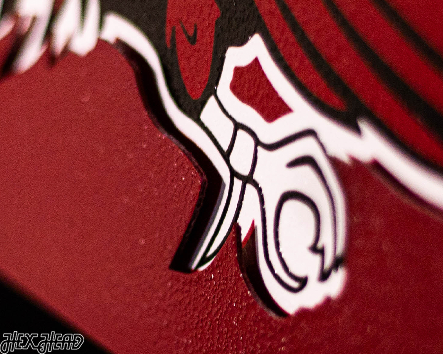 South Carolina Gamecocks DYNASTY- Women's Basketball Championships w/ Replaceable Icon Plate 3D Vintage Metal Wall Art