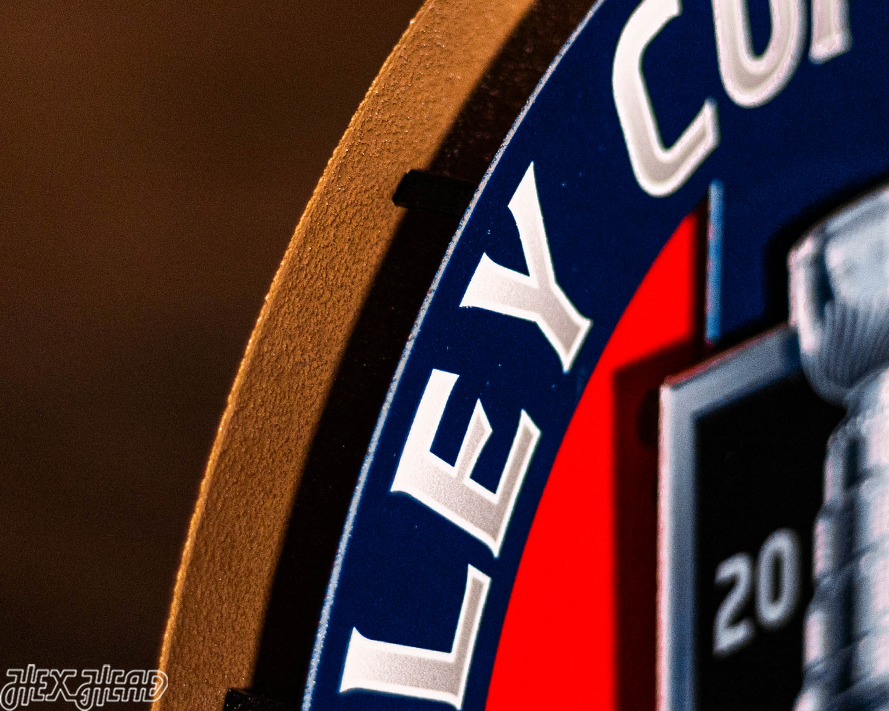 12" Florida Panthers HEX HEAD EXCLUSIVE Design 2024 Champions 3D Metal Wall Art