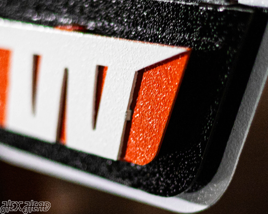 Anaheim Ducks "Mighty Duck" 3D Vintage Metal Wall Art