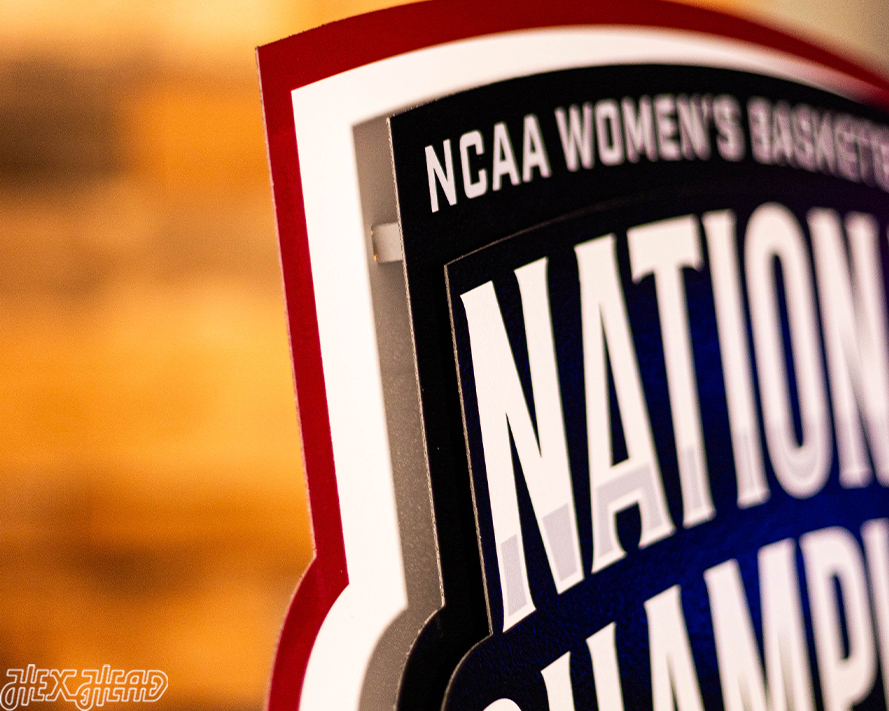 South Carolina Gamecocks 2024 National Champions 3D Metal Wall Art