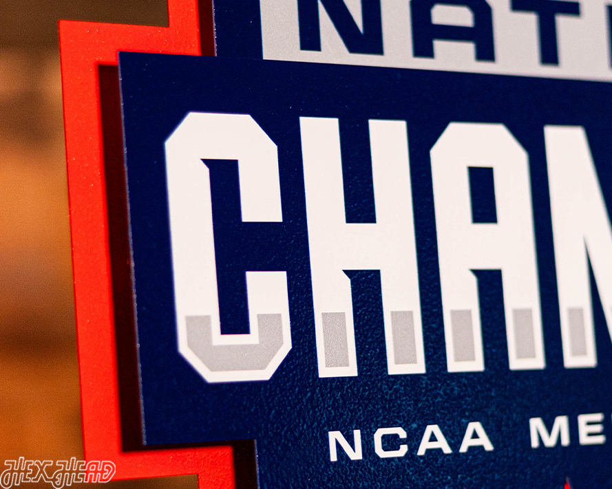 UCONN Huskies 2024 National Champions 3D Metal Wall Art