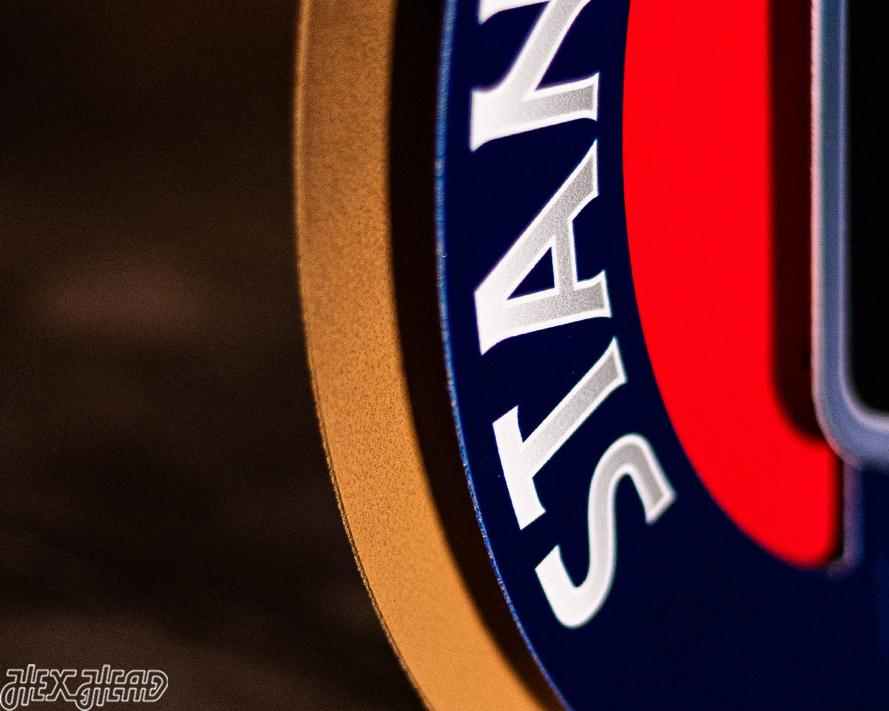 12" Florida Panthers HEX HEAD EXCLUSIVE Design 2024 Champions 3D Metal Wall Art